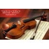 Đàn Violin trọn bộ gồm những gì?