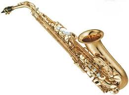 Gia sư dạy kèn Saxophone tại quận 2